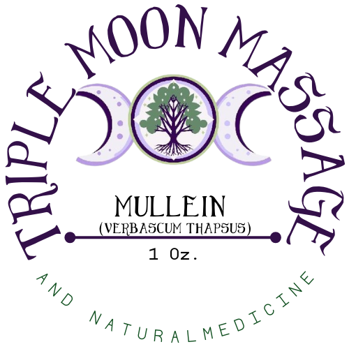 Mullein Salve 1 Oz
