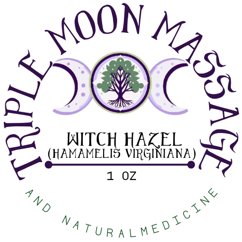 Witch Hazel Salve 1 Oz.