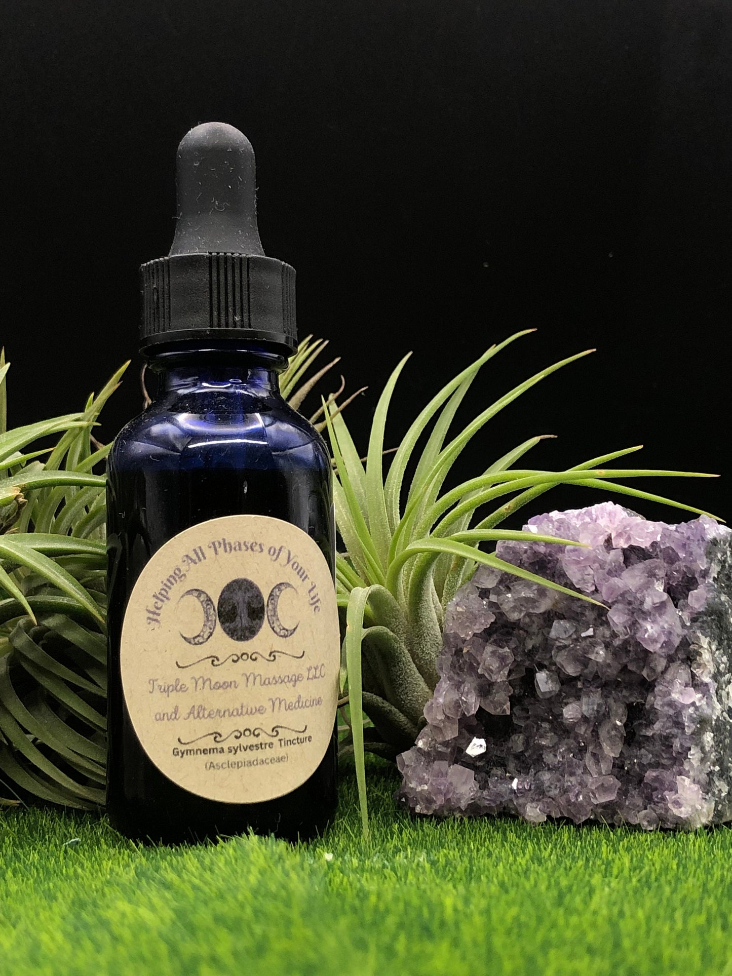 Gymnema (Gymnema sylvestre, Chi Geng Teng) Tincture 1 oz - Triple Moon Massage LLC 
