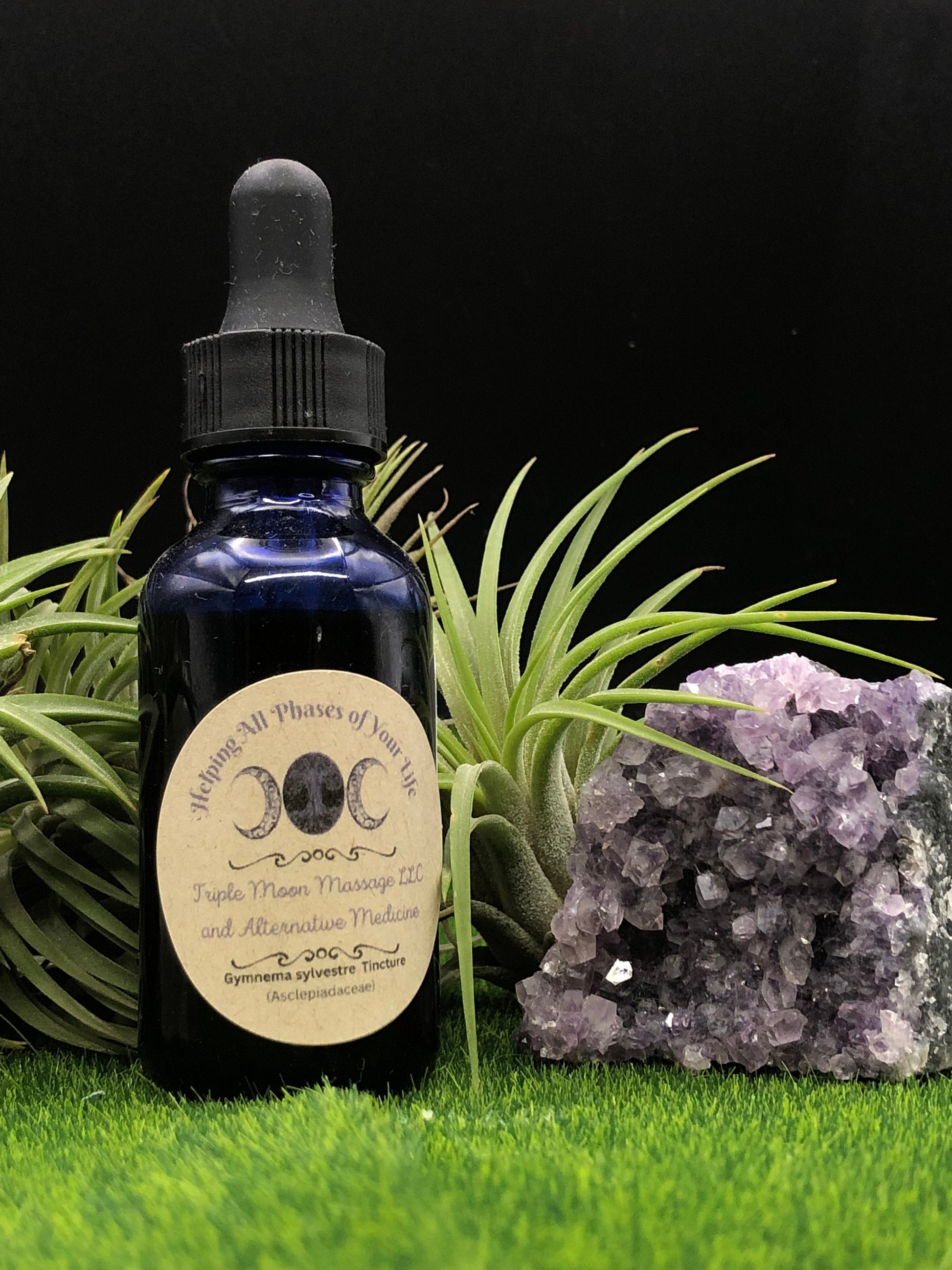 Gymnema (Gymnema sylvestre, Chi Geng Teng) Tincture 1 oz - Triple Moon Massage LLC 