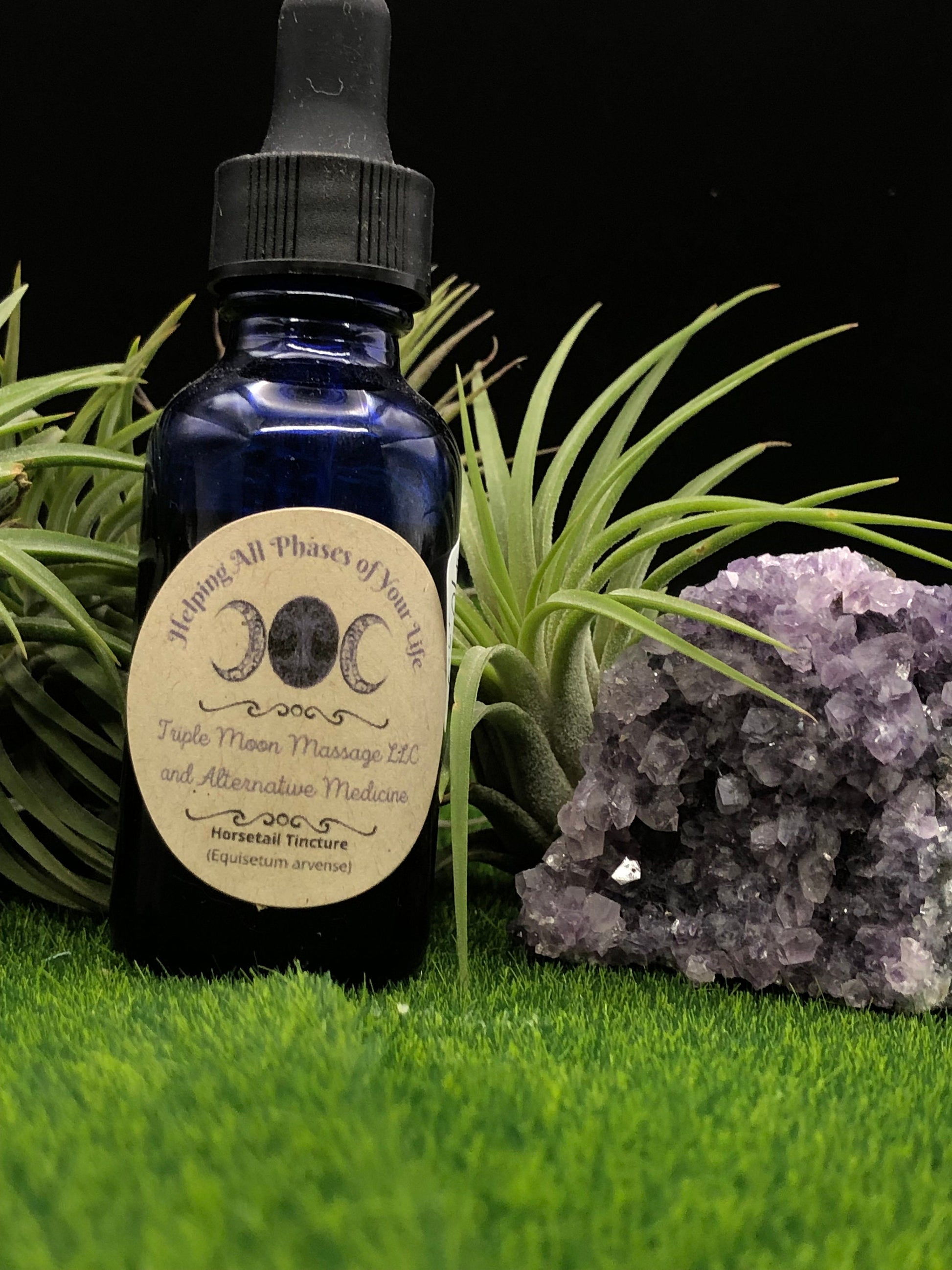 Horsetail ( Equisetum arvense, Mu Zei, Ma Wei) Tincture 1oz - Triple Moon Massage LLC 