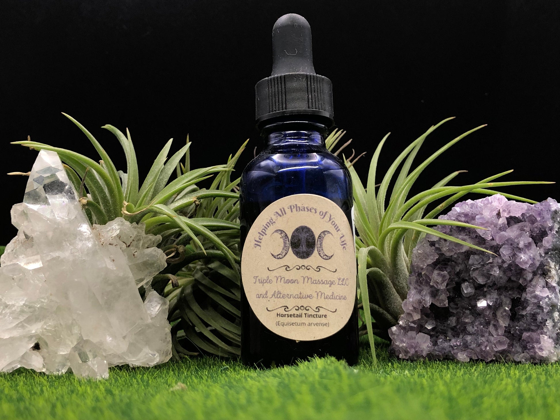 Horsetail ( Equisetum arvense, Mu Zei, Ma Wei) Tincture 1oz - Triple Moon Massage LLC 